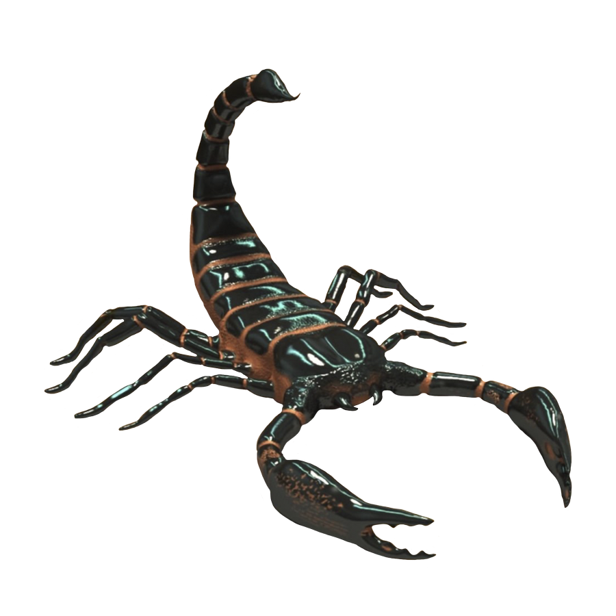 I'm a scorpion. Don't put the cursor on me. Stop lookin at my alt text. I'll totally pinch and sting you.